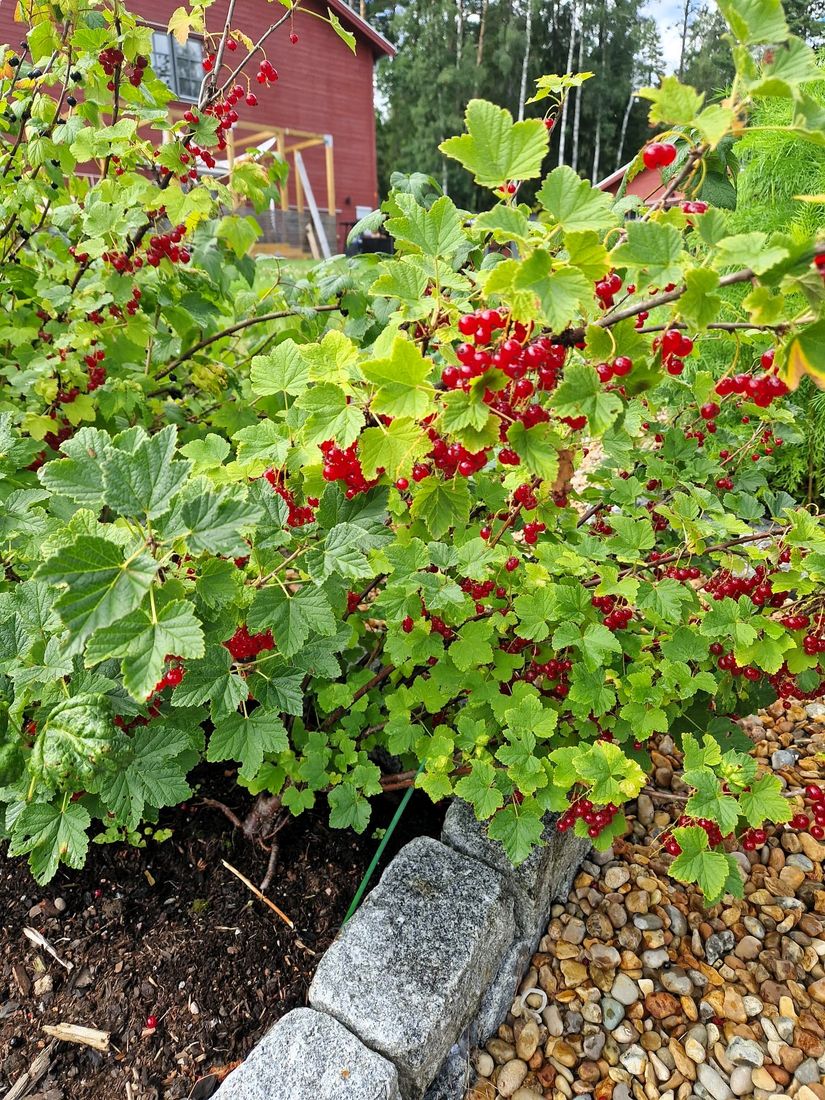 Bostadsrätt, Radhus, Svinningevägen 127A, Svinninge, Österåker