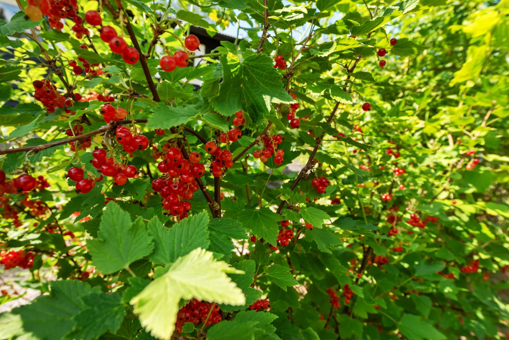 Fritidshus, Höjdpunktsvägen 2, Bergshamra, Norrtälje