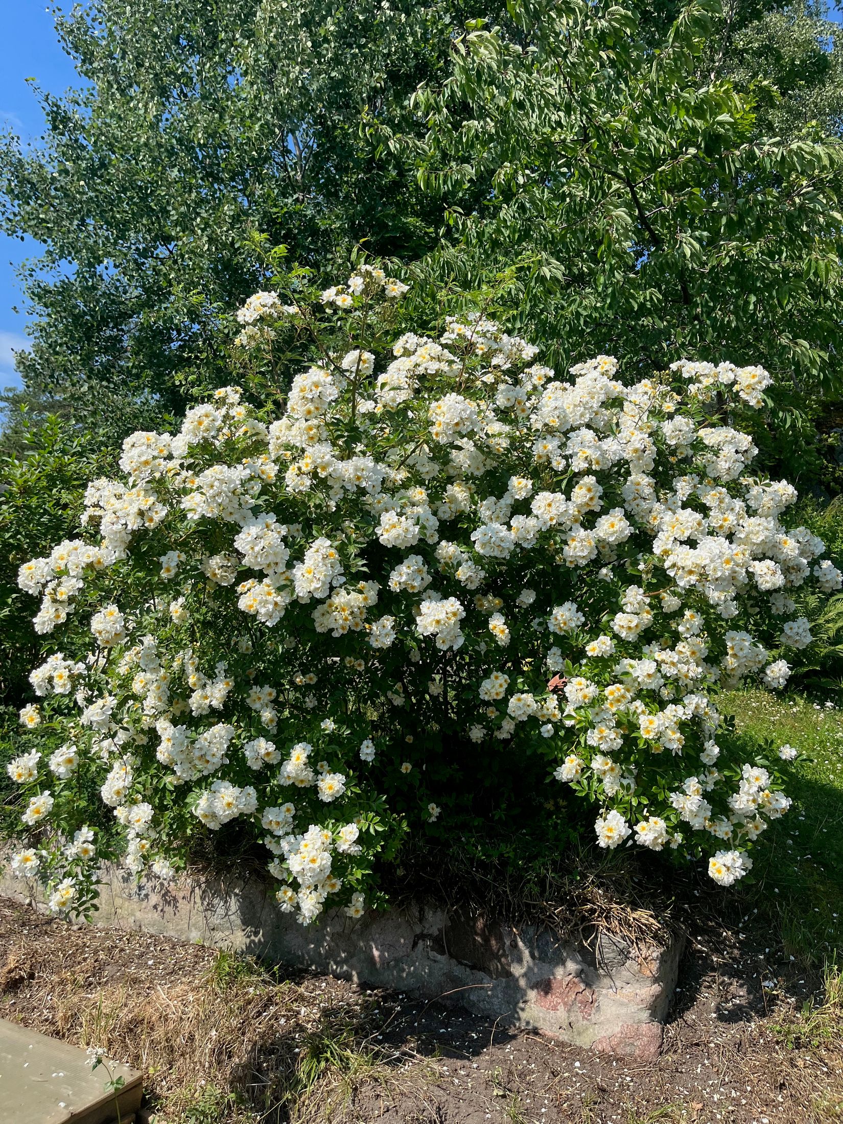 Villa, Hamnvägen 21A-B, Gransäter, Norrtälje