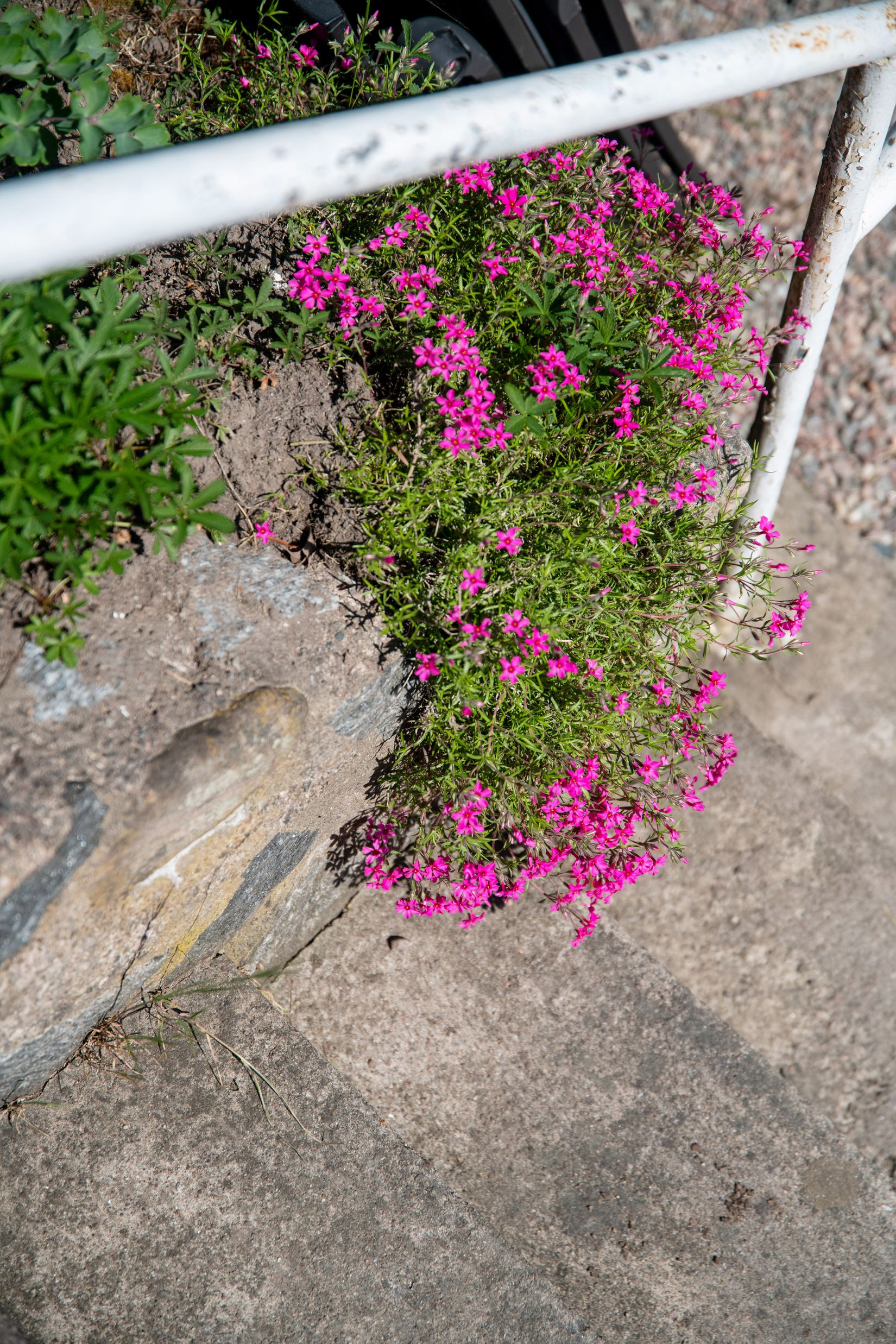 Villa, Hamnvägen 21A-B, Gransäter, Norrtälje