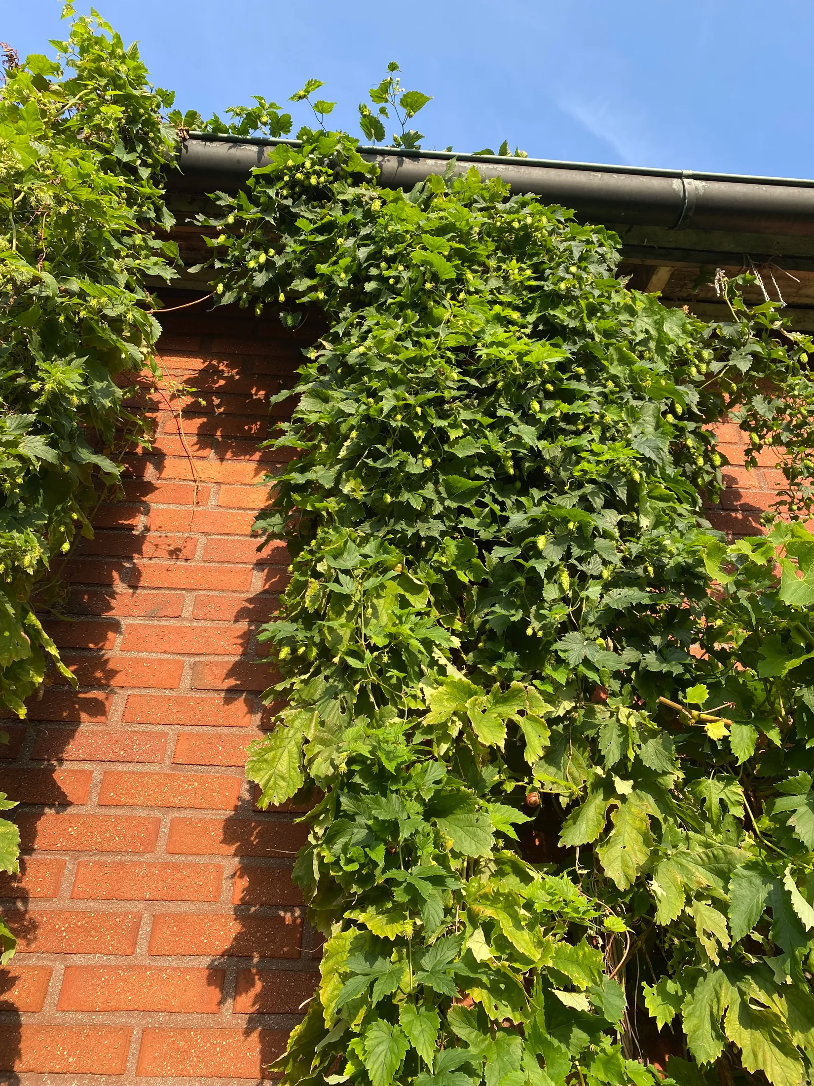 Villa, Klintegatan 4, Mölndal - Krokslätt, Mölndal