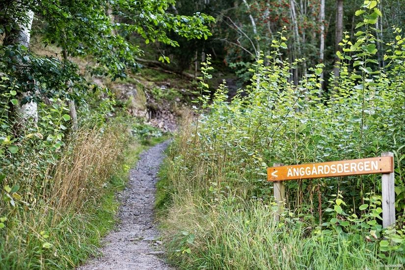 Bostadsrätt, Utsädesgatan 4A, Bifrost, Mölndal