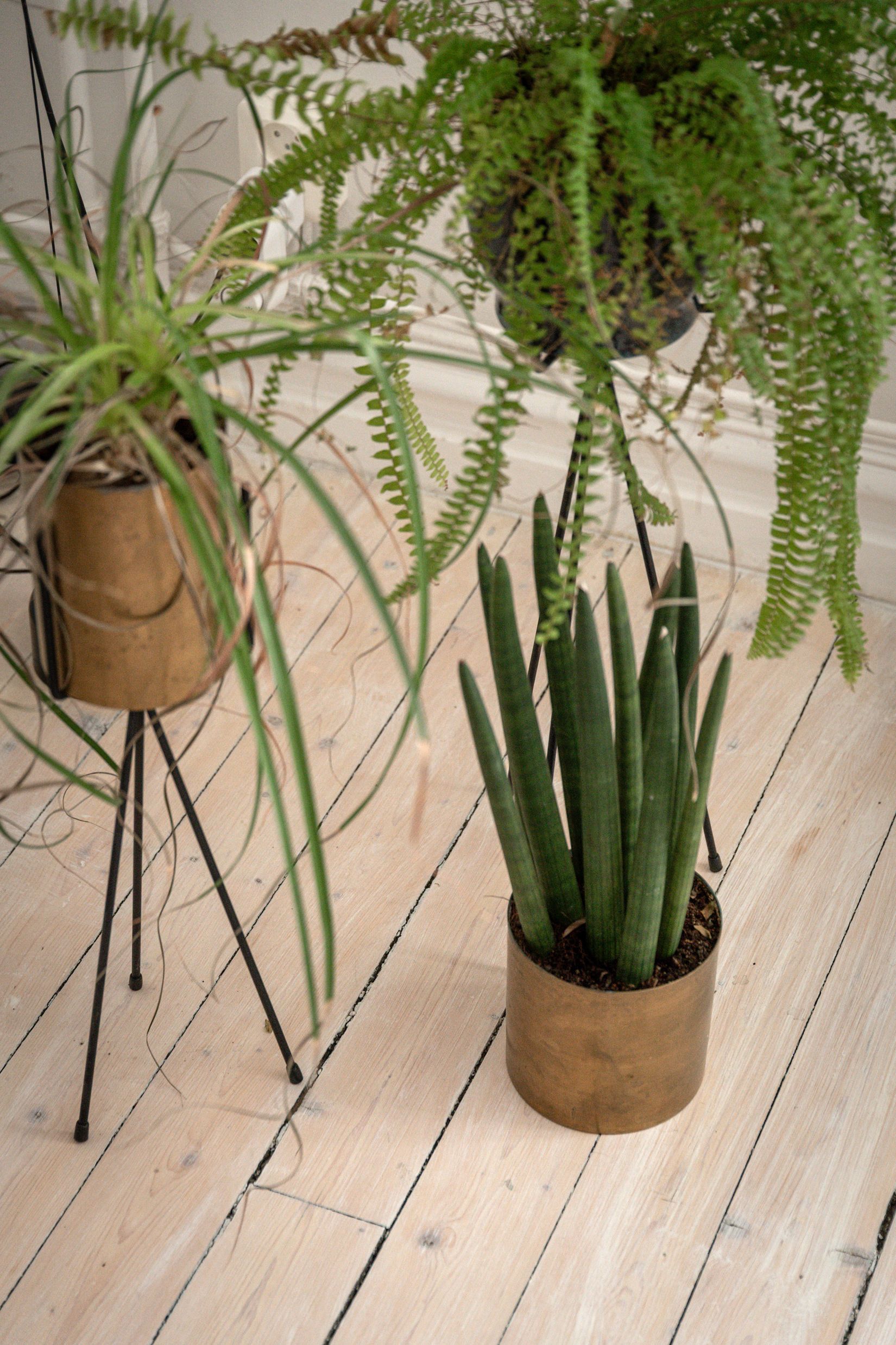 Bostadsrätt, Föreningsgatan 9B, Östermalm, Kristianstad