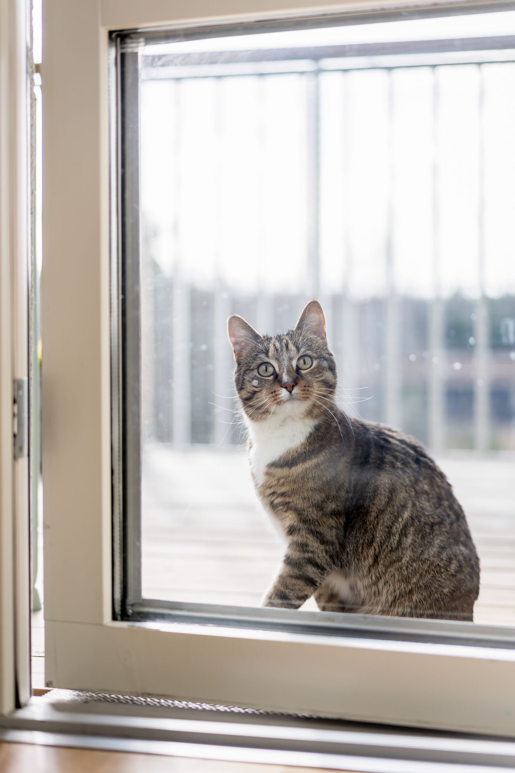 Bostadsrätt, Hägerneholmsvägen 8A, Hägerneholm, Täby