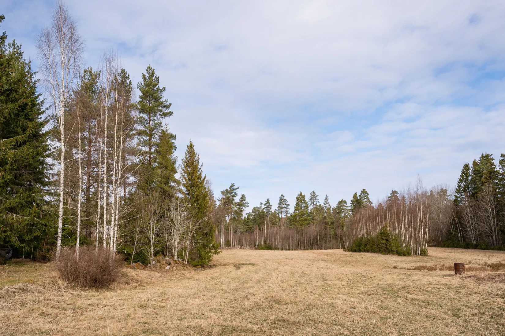 Gård/Skog, Billsbro Elim 1, Vingåker