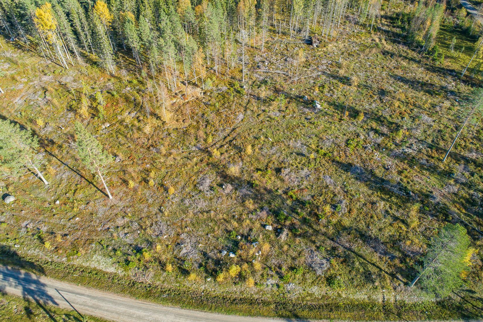 Tomt, Tomter i Nyvik, Nordmaling Nyvik, Nordmaling