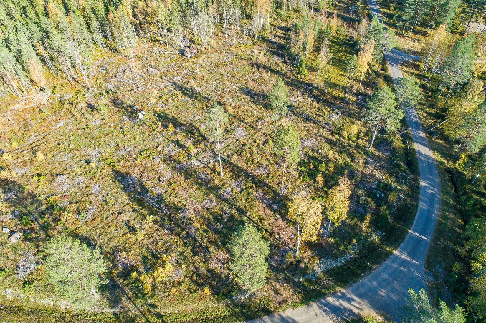 Tomt, Tomter i Nyvik, Nordmaling Nyvik, Nordmaling