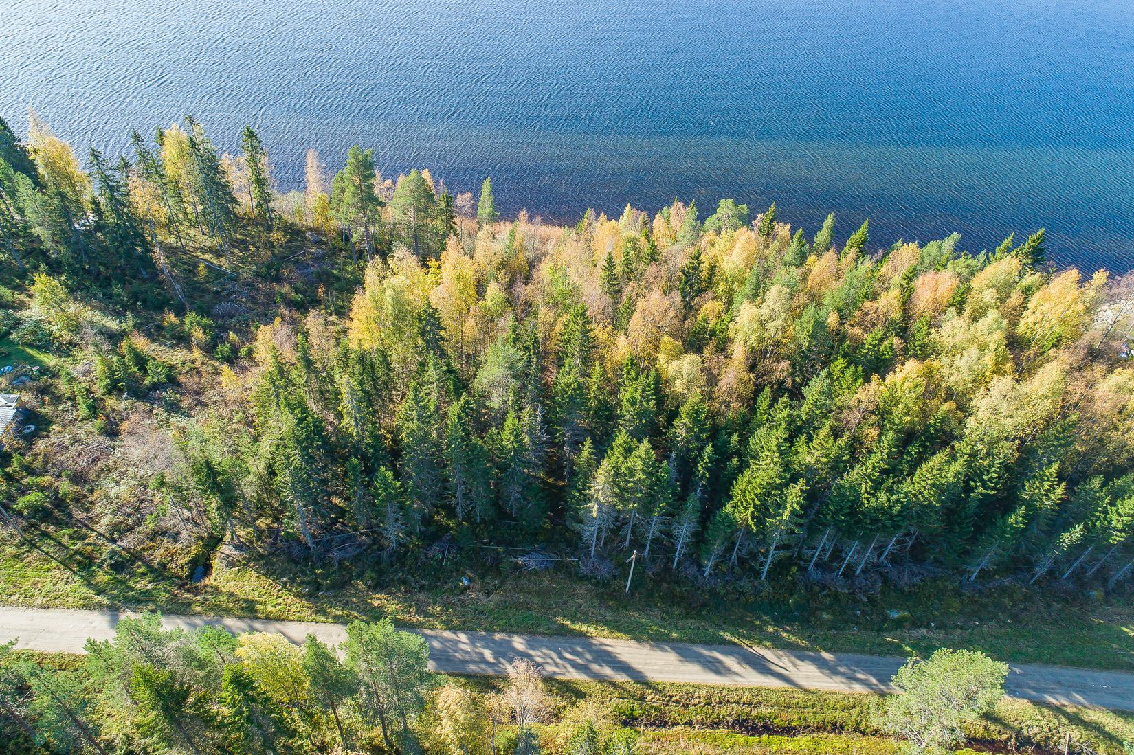 Tomt, Tomter i Nyvik, Nordmaling Nyvik, Nordmaling