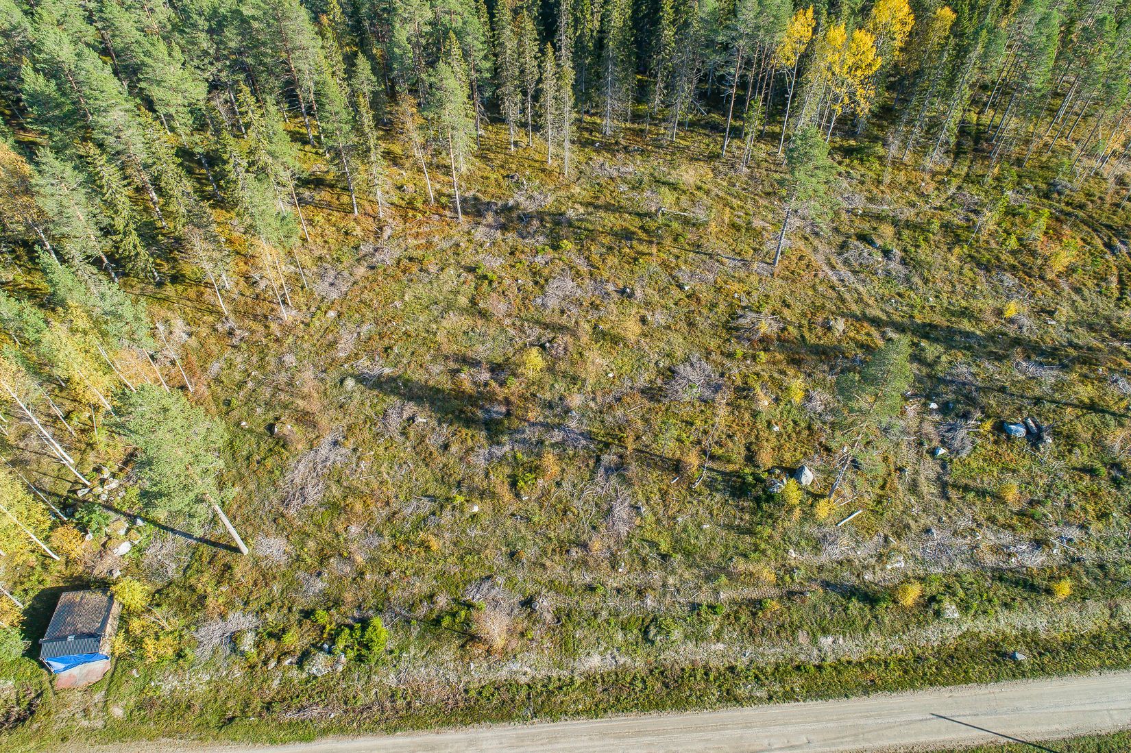 Tomt, Tomter i Nyvik, Nordmaling Nyvik, Nordmaling