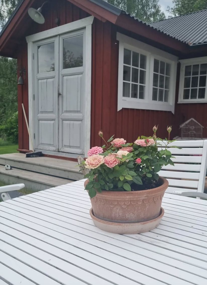 Villa, Gård/Skog, Brännbacksvägen 13, Grytnäs, Kalix