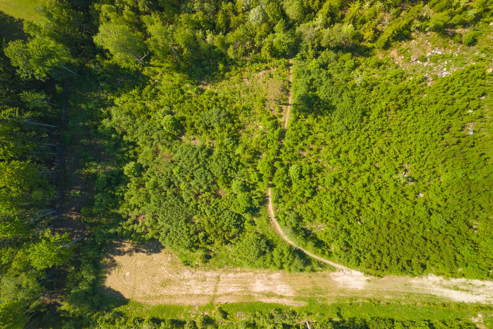 Tomt, Naturnära tomt i Sidsjön, Sidsjö, Sundsvall