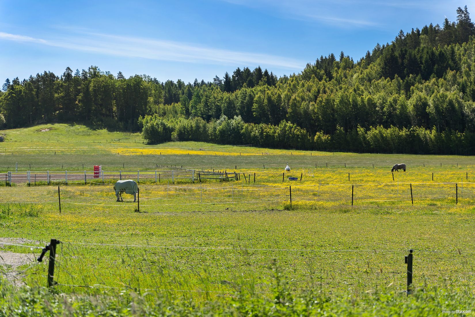 Tomt, Hässleröd 1:29 TOMT E, Uddevalla