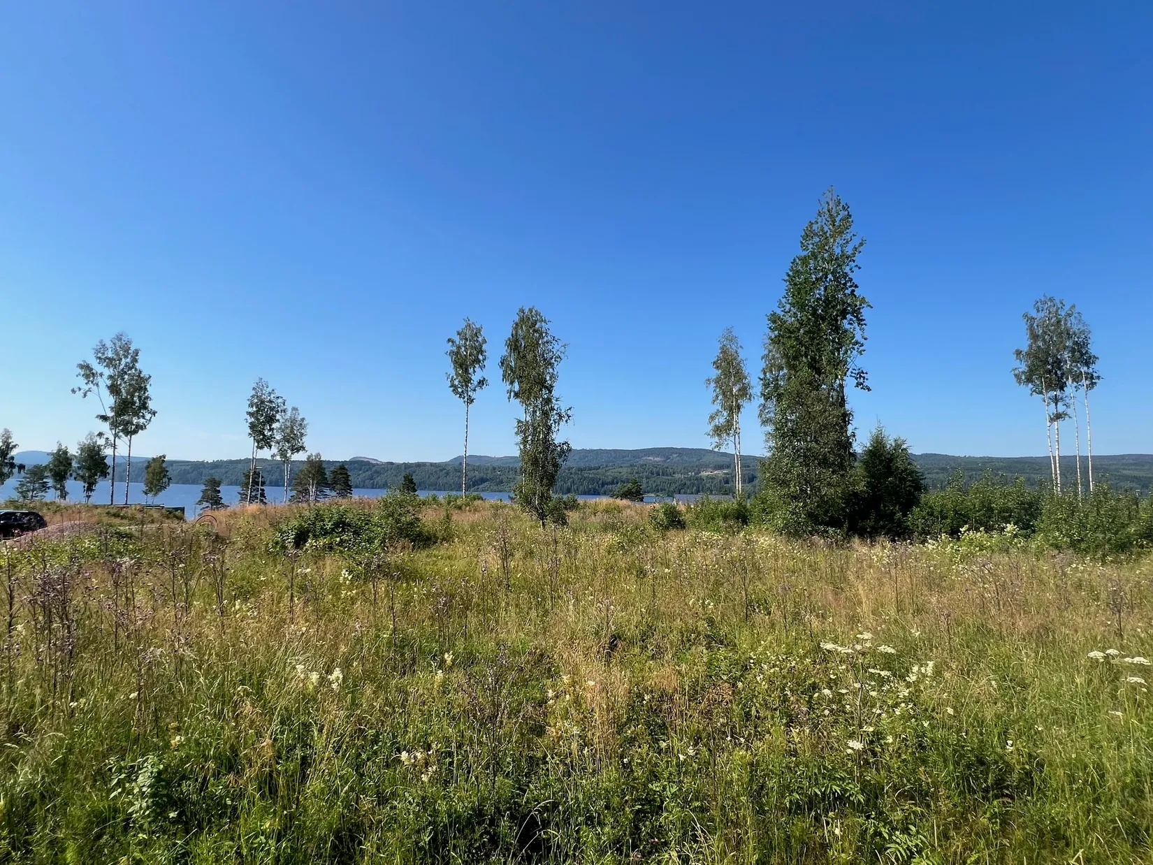 Tomt, Badabruk 19, Bada, Torsby