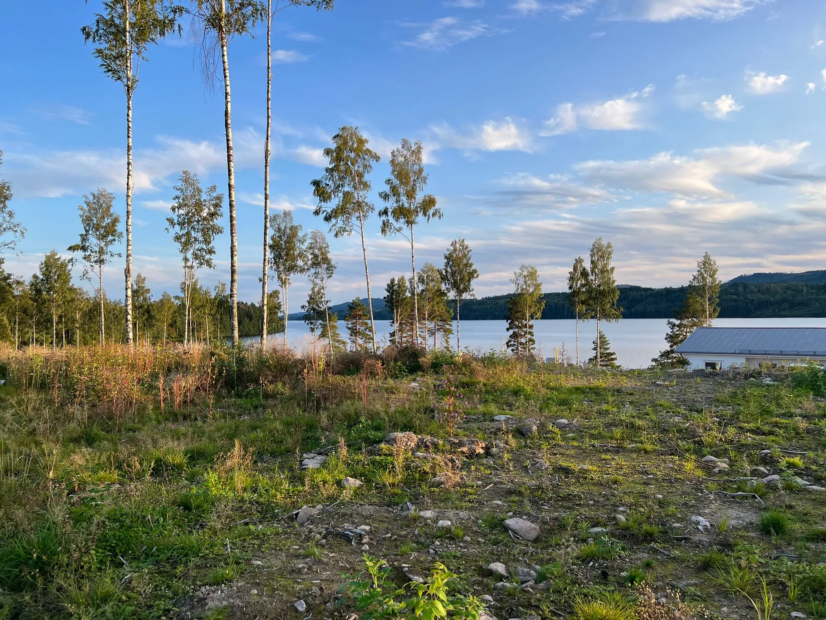 Tomt, Badabruk 19, Bada, Torsby