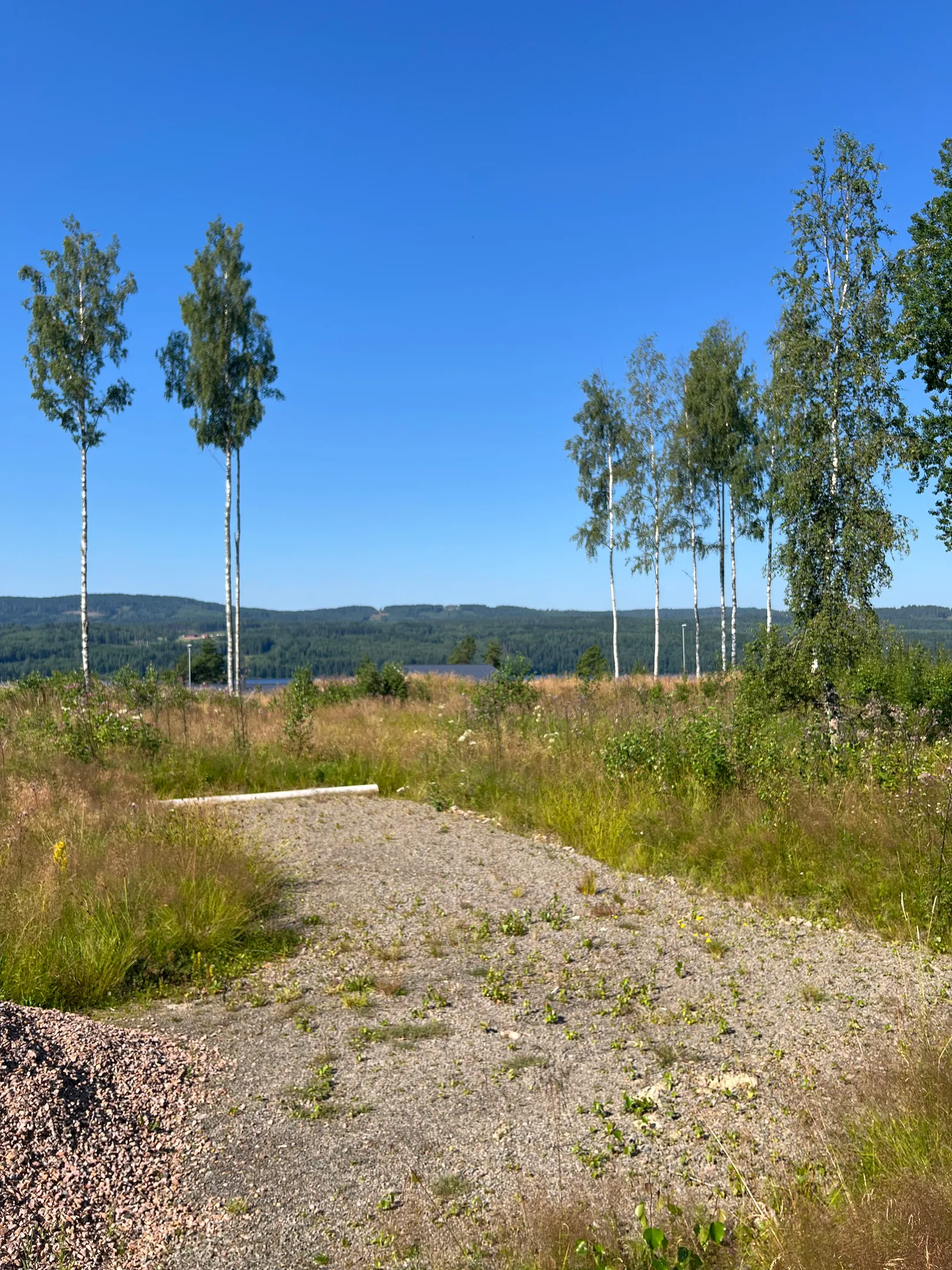 Tomt, Badabruk 19, Bada, Torsby