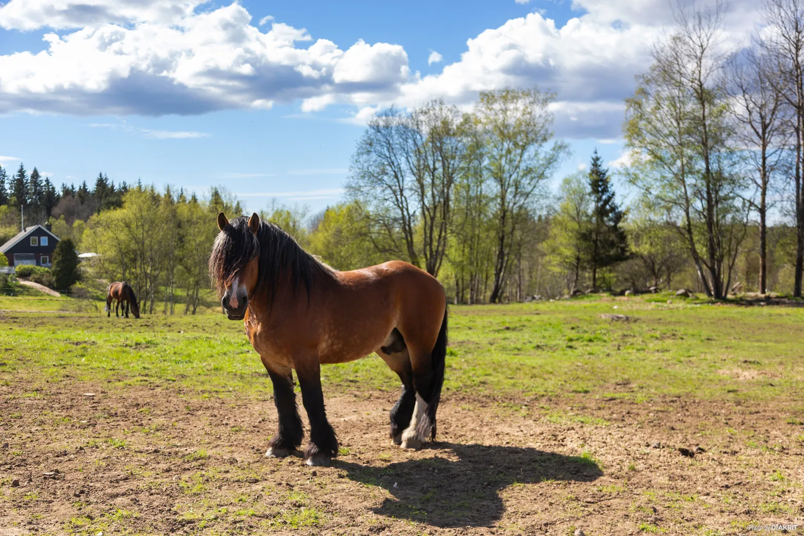 Villa, Bugärde 114, Härryda