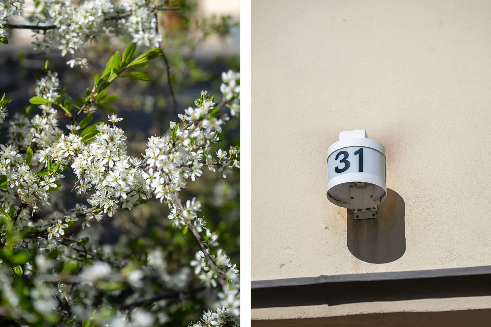 Bostadsrätt, Nathorstvägen 31, Hammarbyhöjden / Skärmarbrink, Stockholm