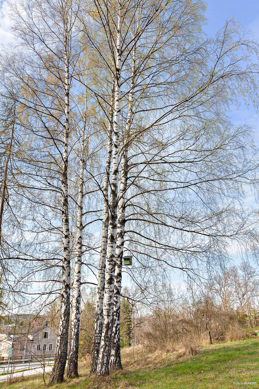 Bostadsrätt, Formarstigen 14, Gustavsberg Höjdhagen, Värmdö