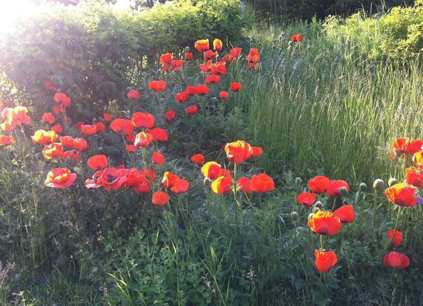 Bostadsrätt, Formarstigen 14, Gustavsberg Höjdhagen, Värmdö