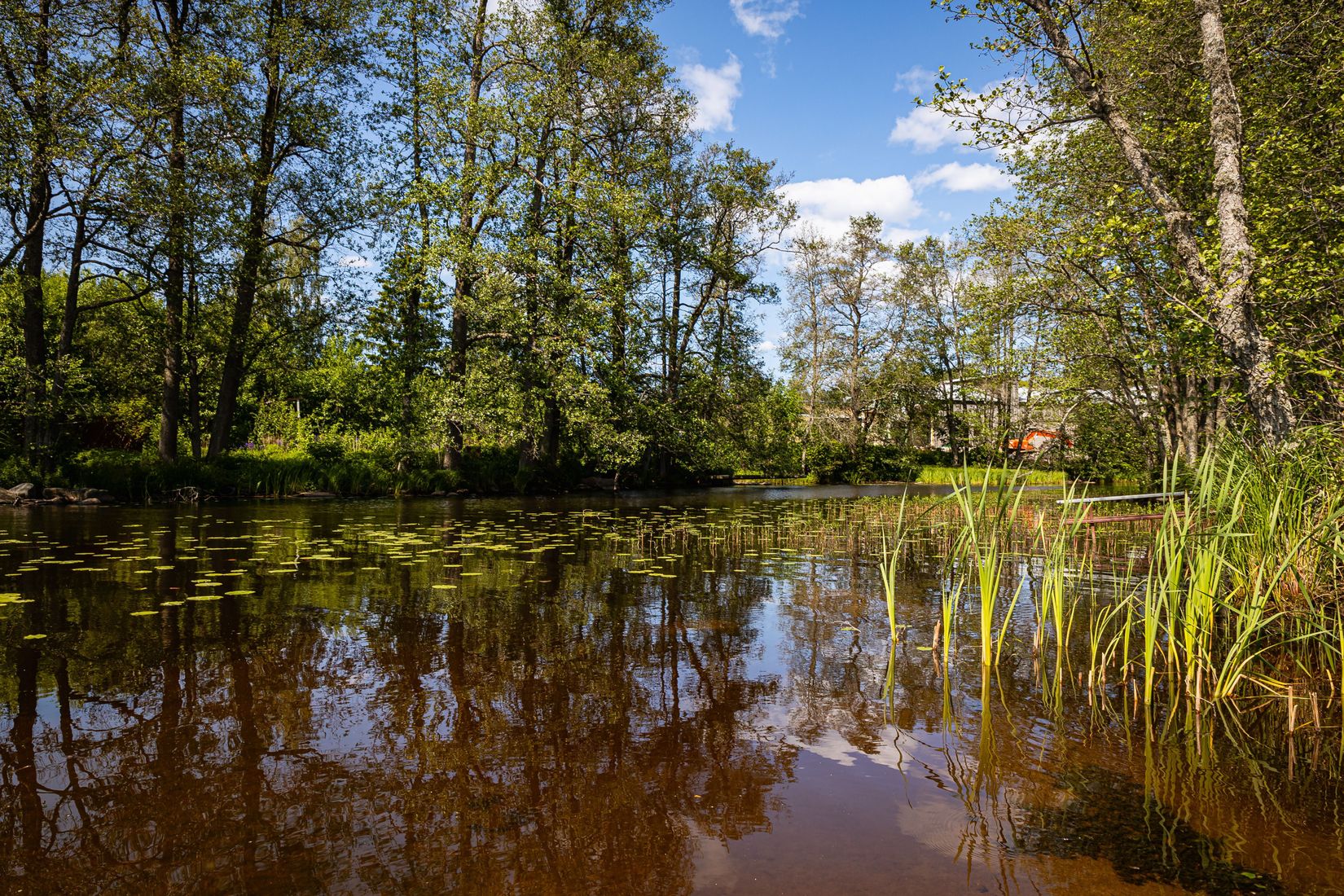 Tomt, Näckrosvägen, Molkom, Karlstad