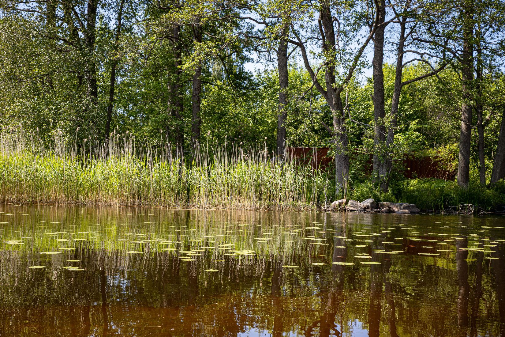 Tomt, Näckrosvägen, Molkom, Karlstad