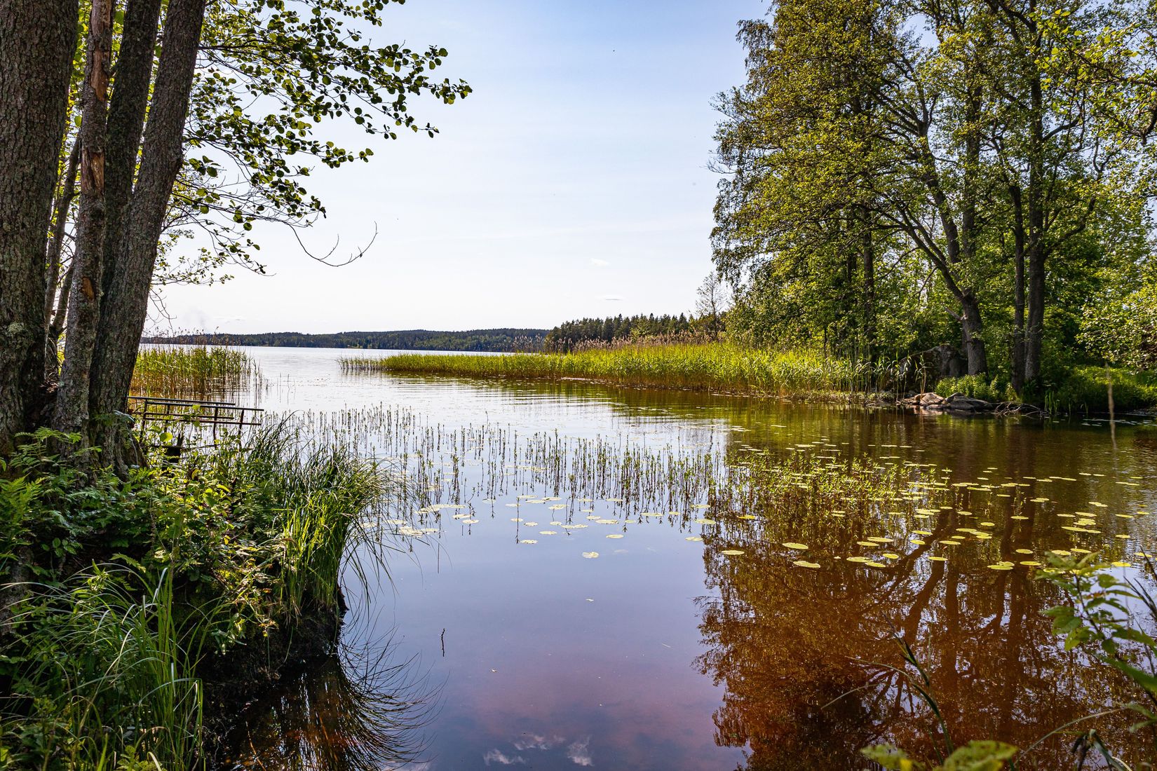 Tomt, Näckrosvägen, Molkom, Karlstad
