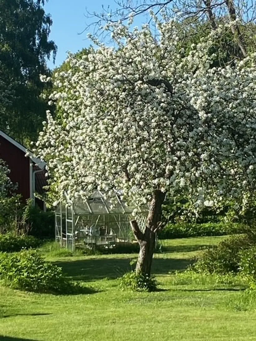 Villa, Talby 484, Talby, Örebro