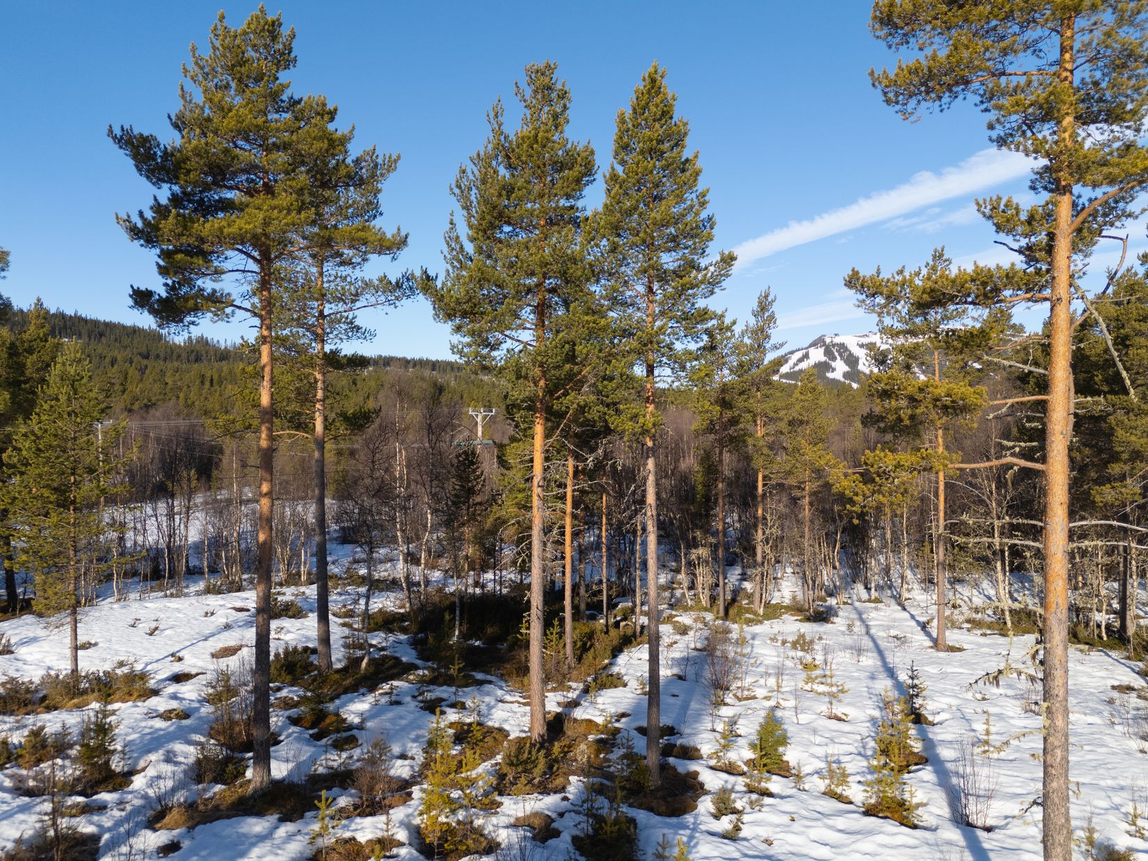 Tomt, Ljusnedals fritidsby 415, Härjedalen