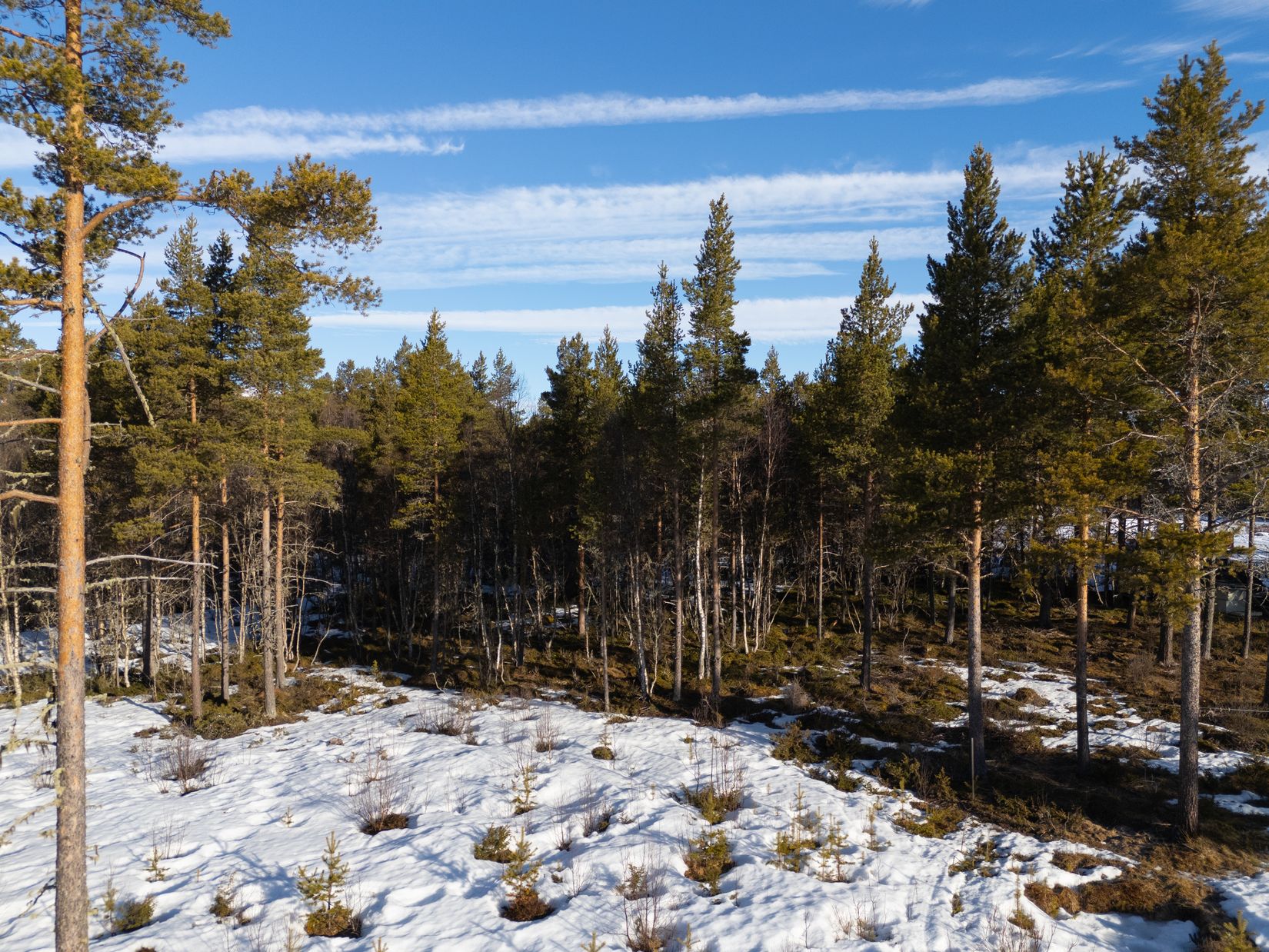Tomt, Ljusnedals fritidsby 415, Härjedalen