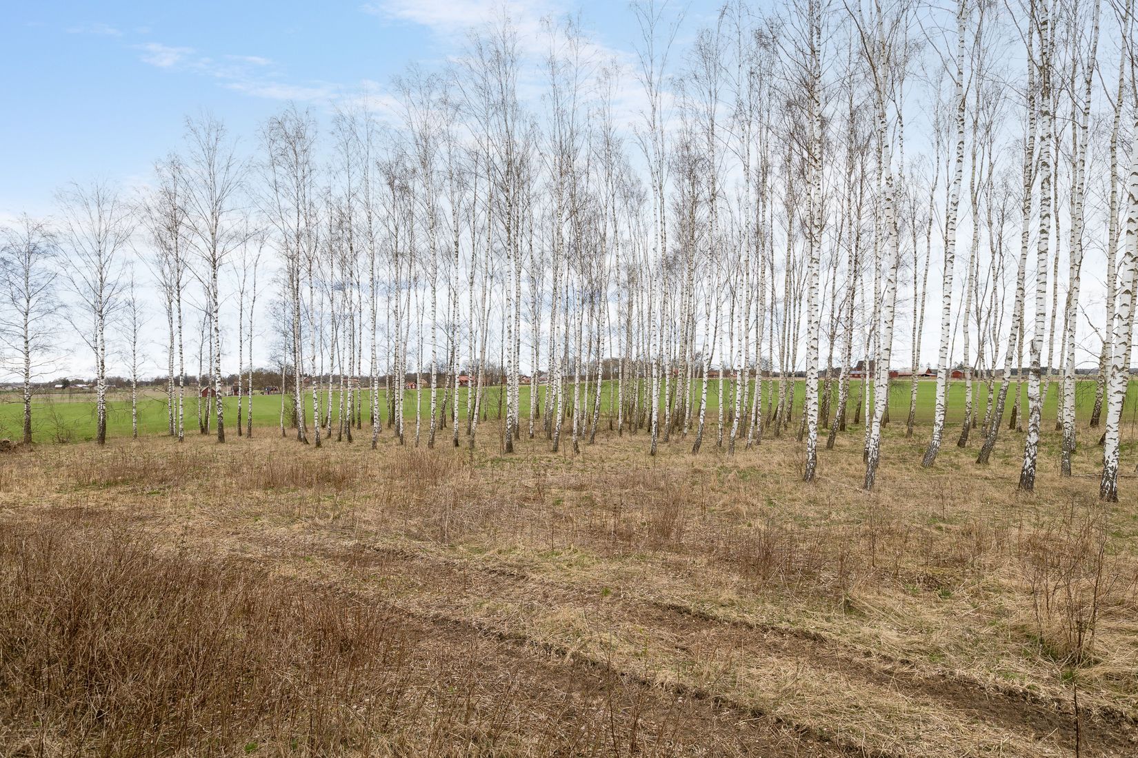 Tomt, Flistad/Maspelösa, Maspelösa, Linköping