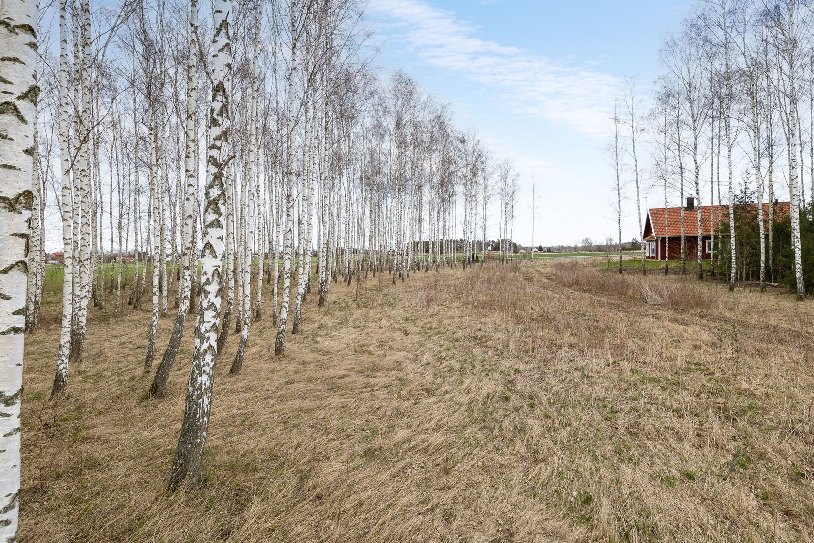 Tomt, Flistad/Maspelösa, Maspelösa, Linköping