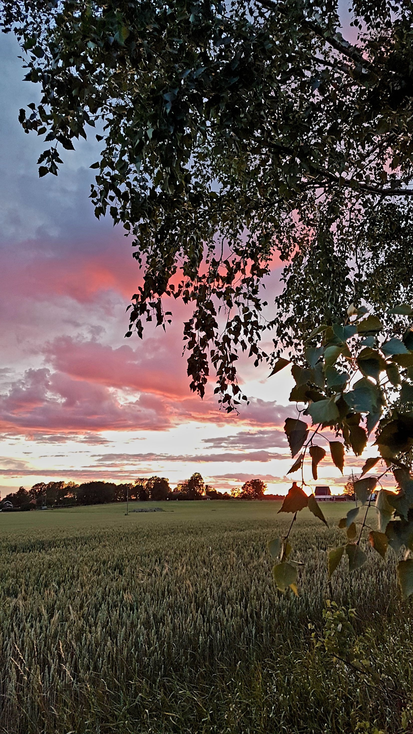 Tomt, Flistad/Maspelösa, Maspelösa, Linköping