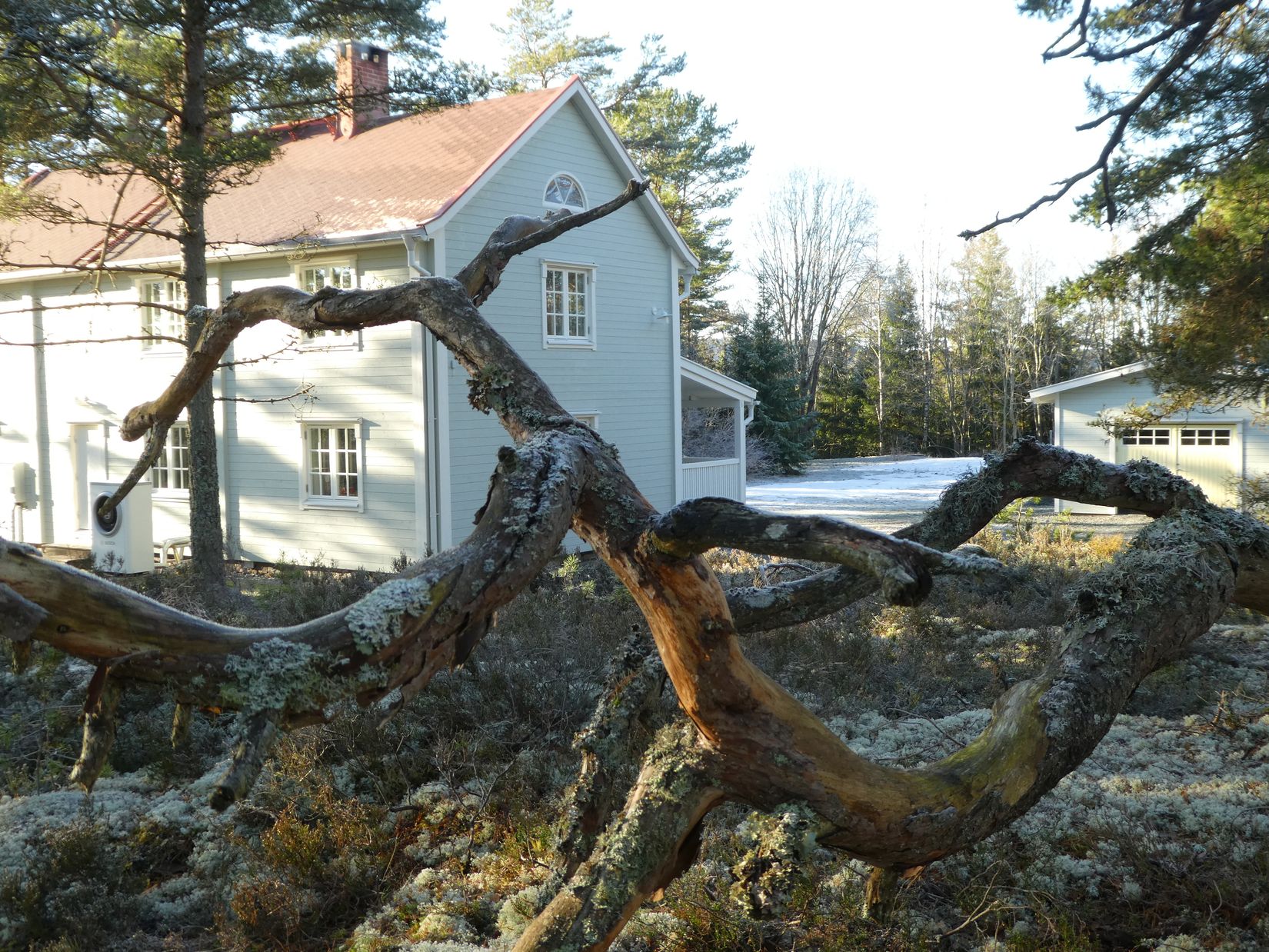 Gård/Skog, Åsnebostugan, Bengtsfors