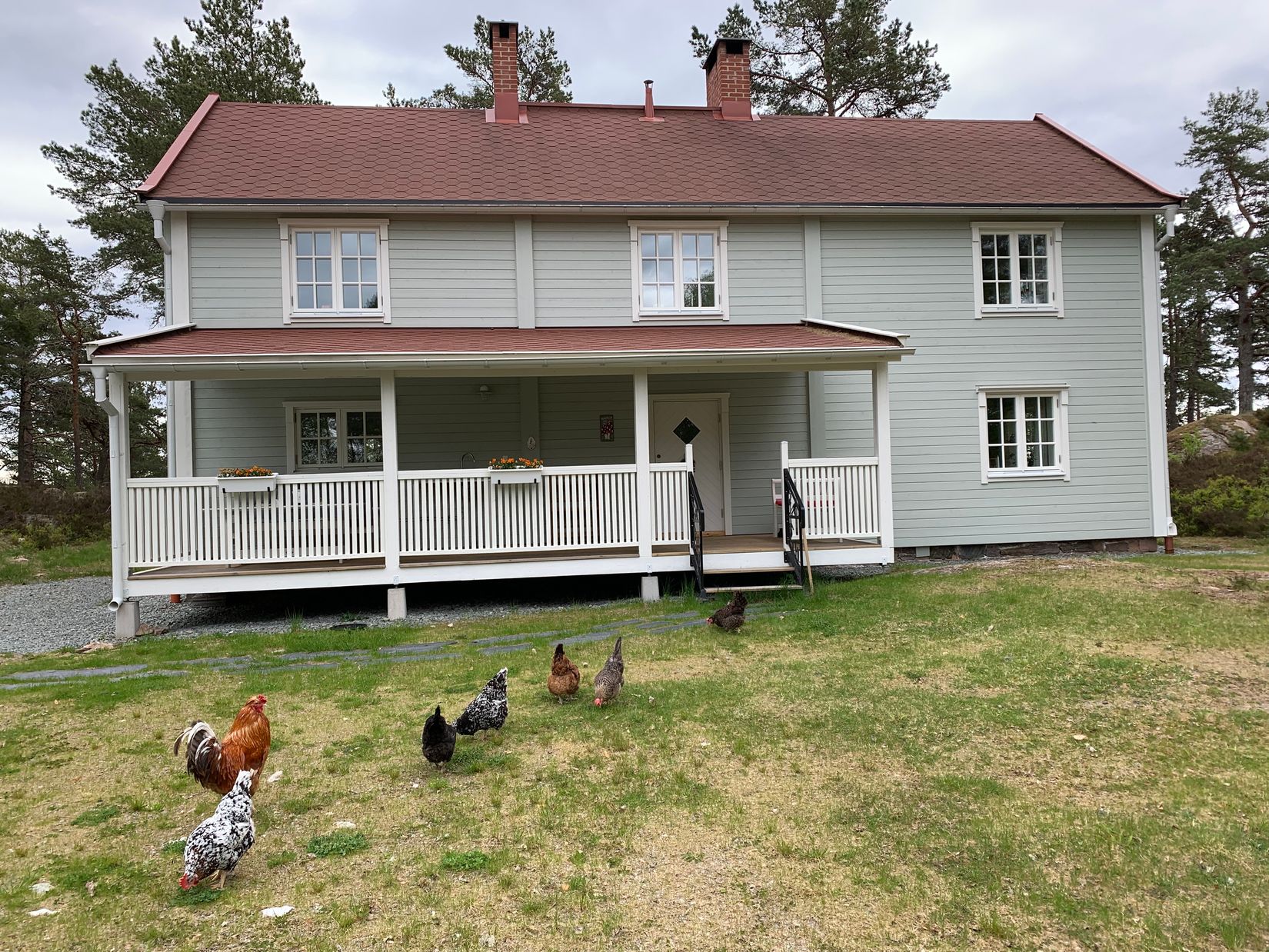 Gård/Skog, Åsnebostugan, Bengtsfors