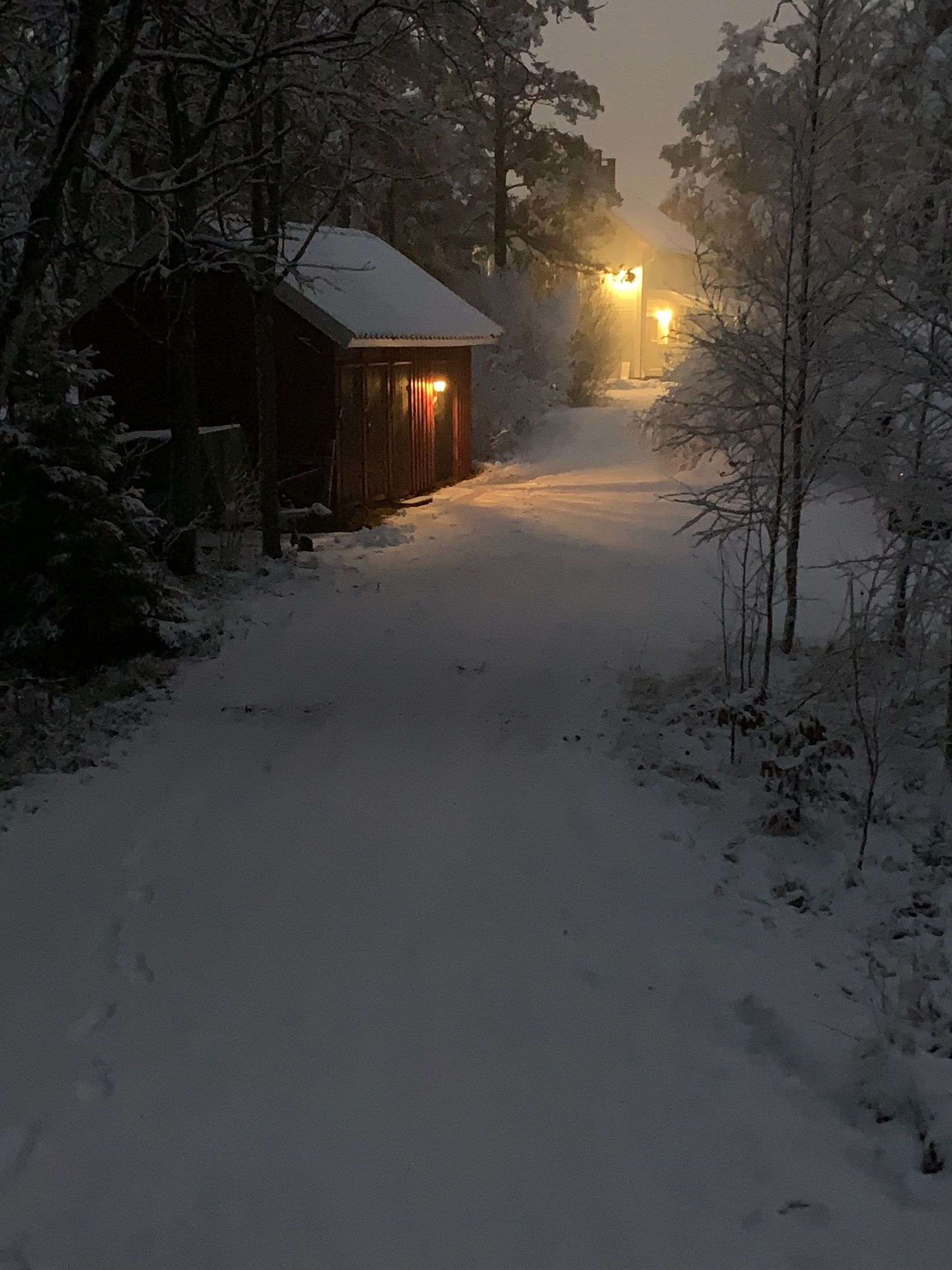 Gård/Skog, Åsnebostugan, Bengtsfors