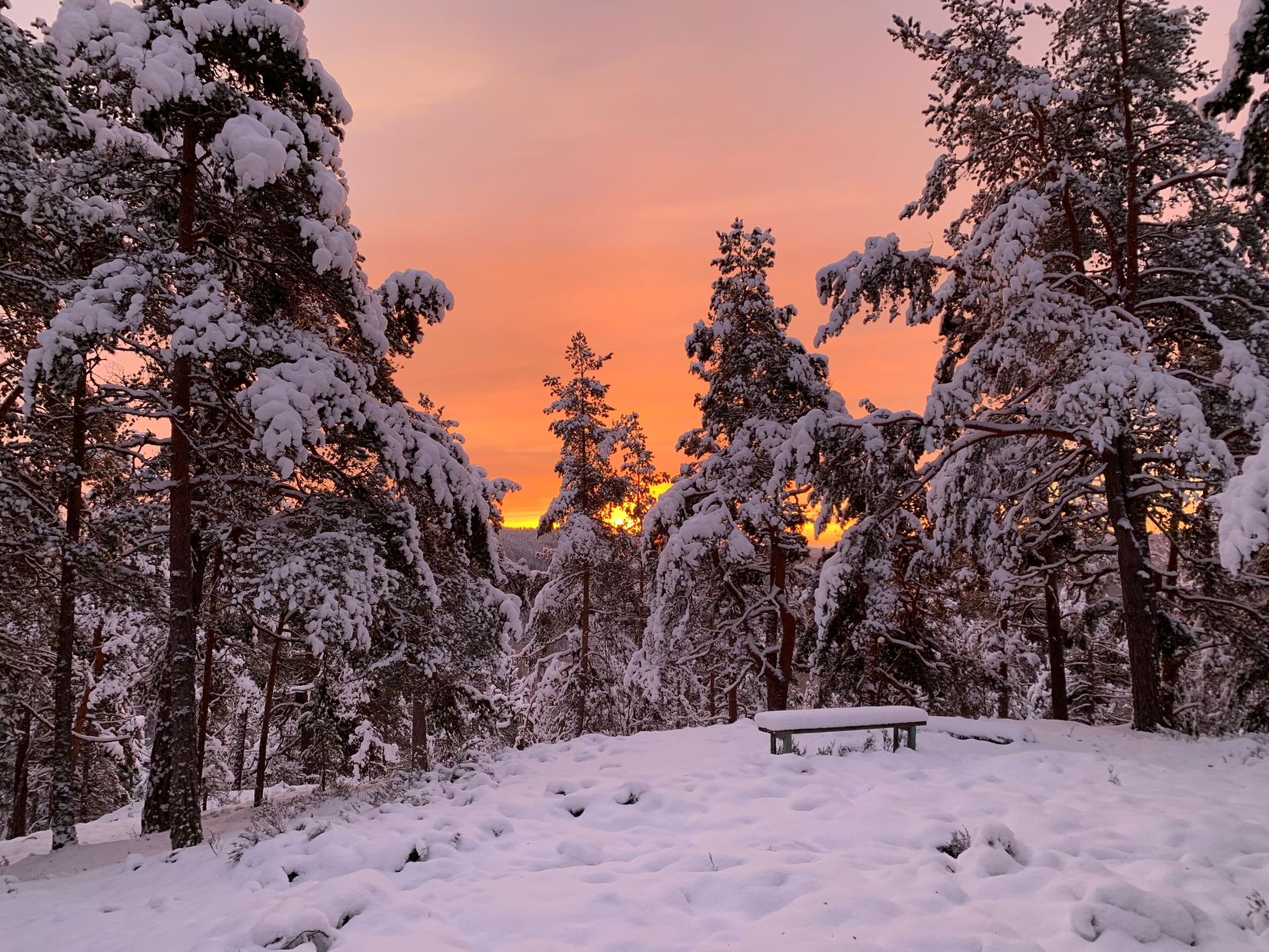 Gård/Skog, Åsnebostugan, Bengtsfors