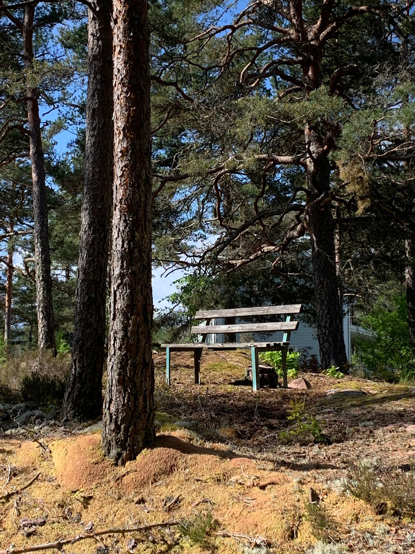Gård/Skog, Åsnebostugan, Bengtsfors