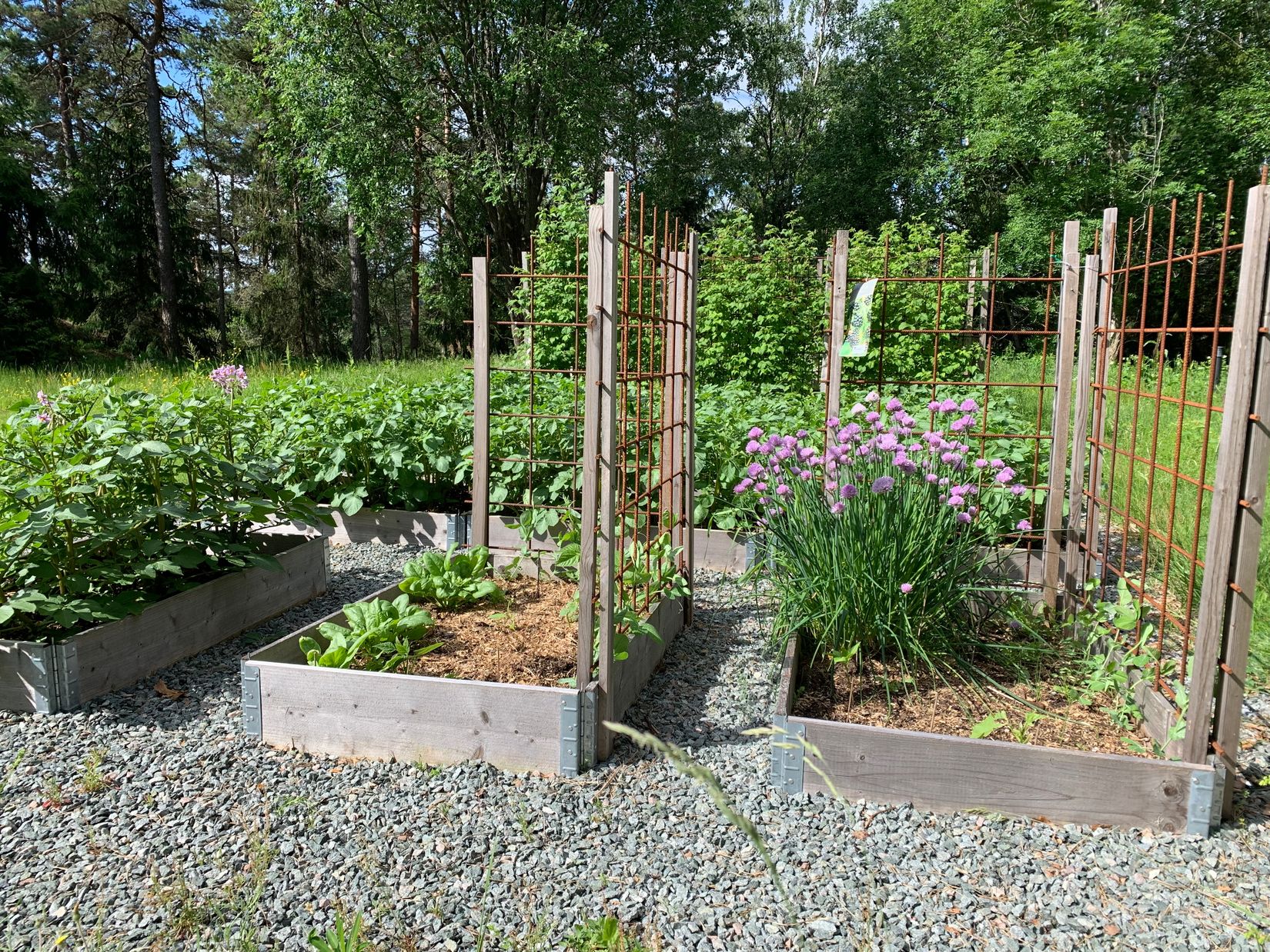 Gård/Skog, Åsnebostugan, Bengtsfors