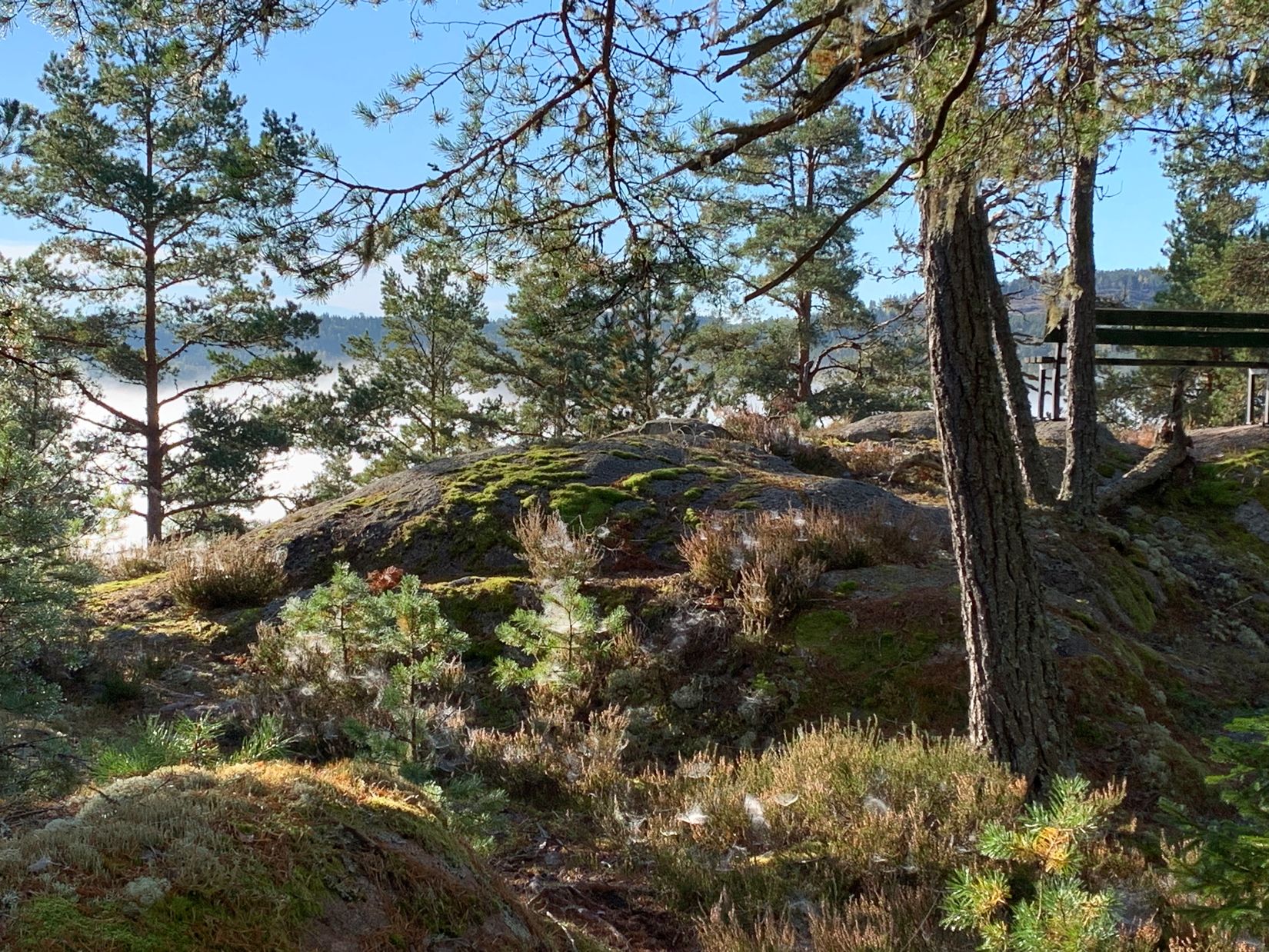 Gård/Skog, Åsnebostugan, Bengtsfors