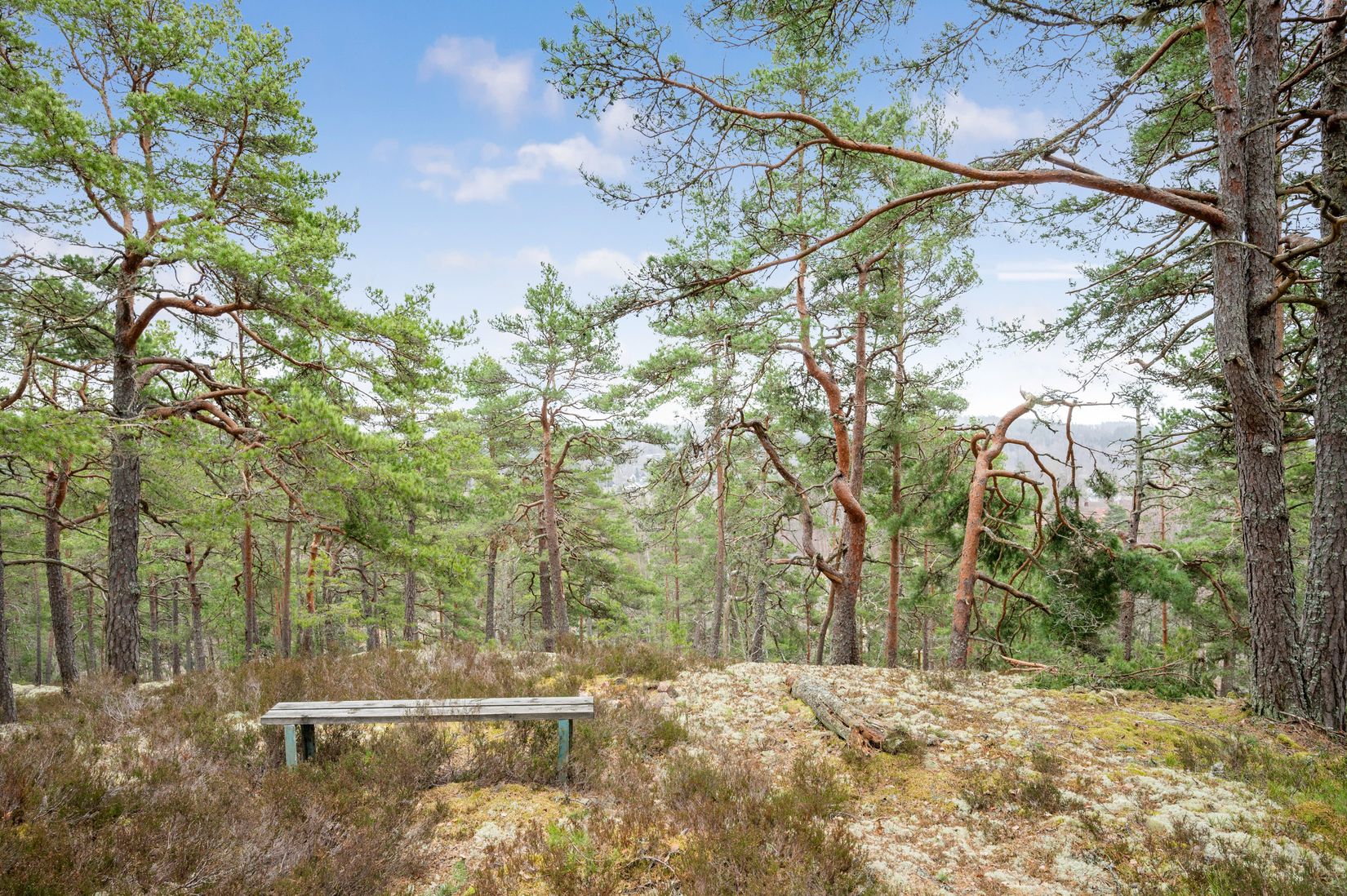 Gård/Skog, Åsnebostugan, Bengtsfors