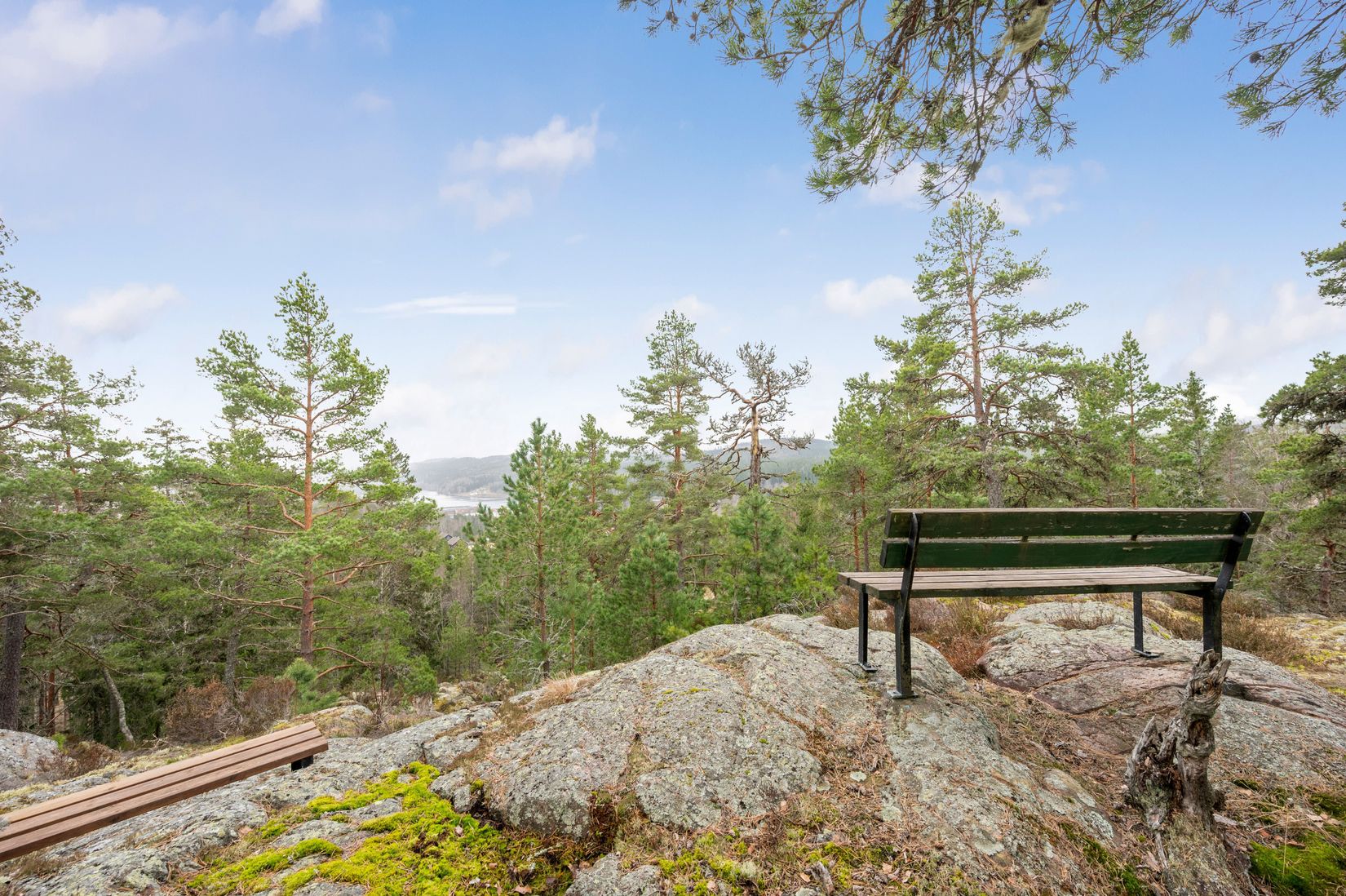 Gård/Skog, Åsnebostugan, Bengtsfors