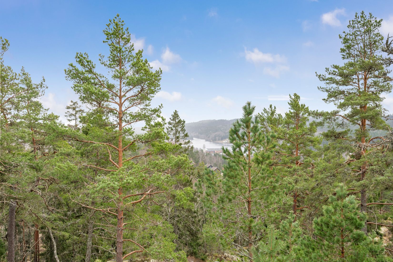Gård/Skog, Åsnebostugan, Bengtsfors