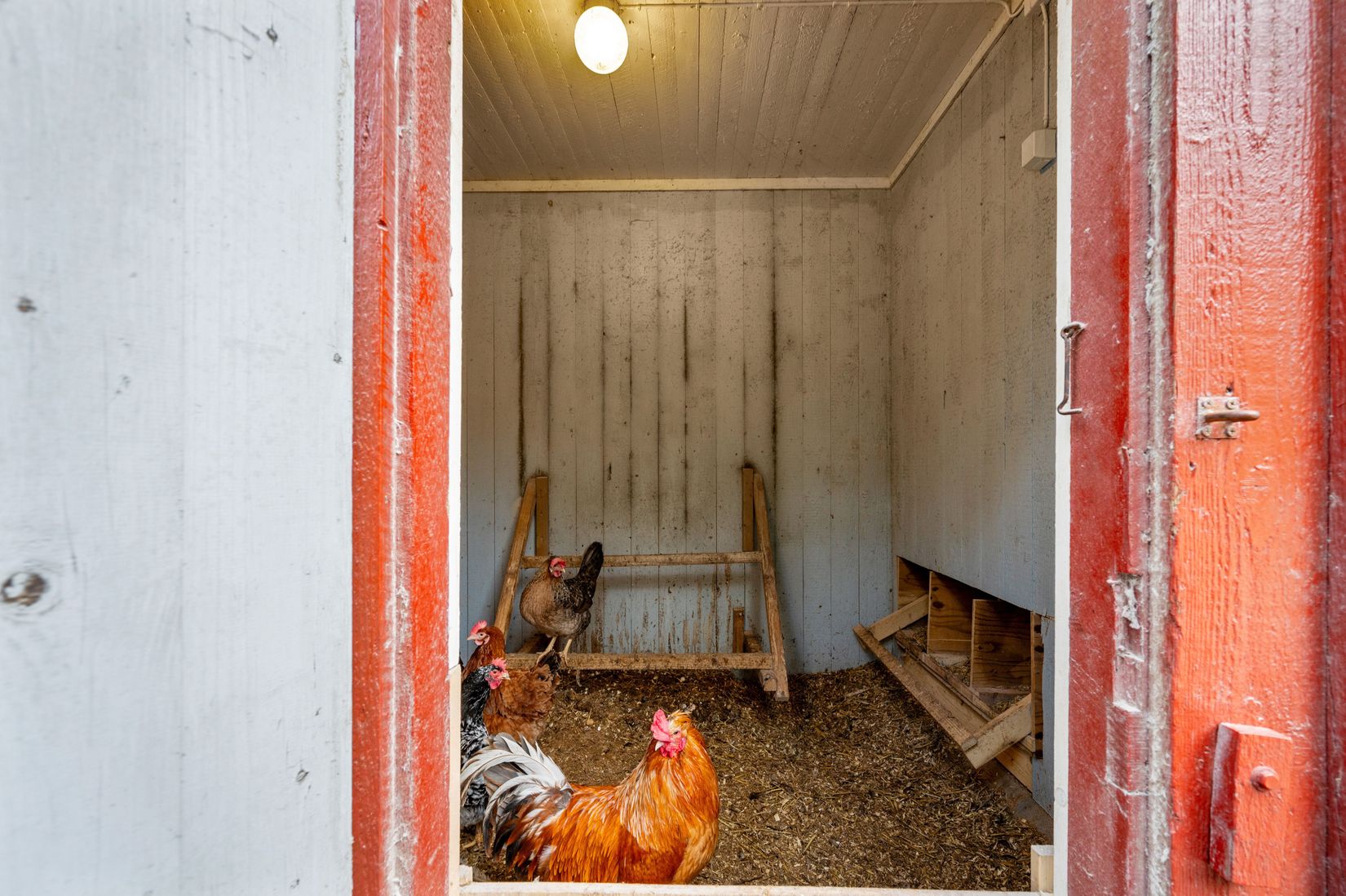 Gård/Skog, Åsnebostugan, Bengtsfors