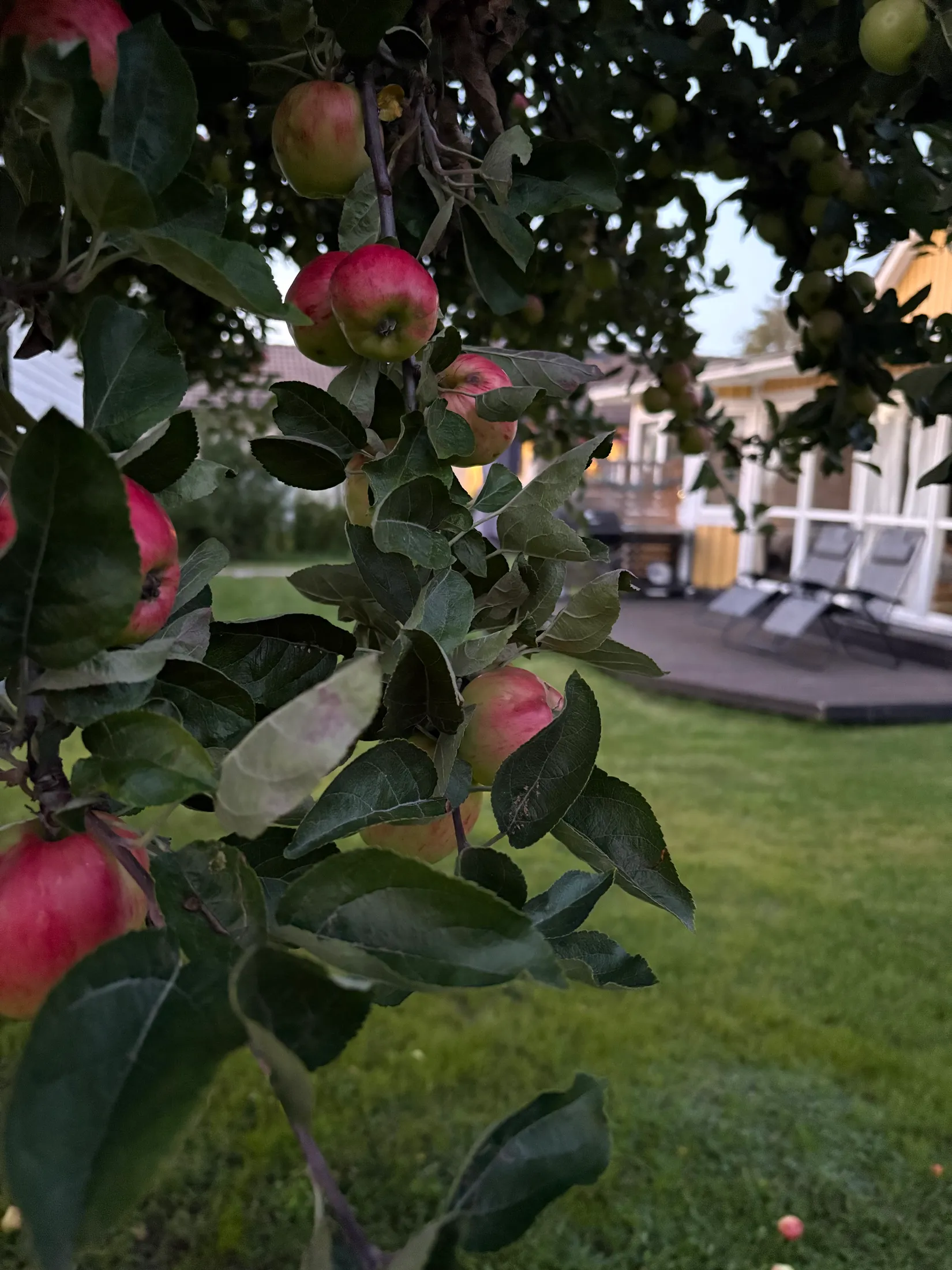 Villa, Milstensvägen 8A, Ella Park, Täby