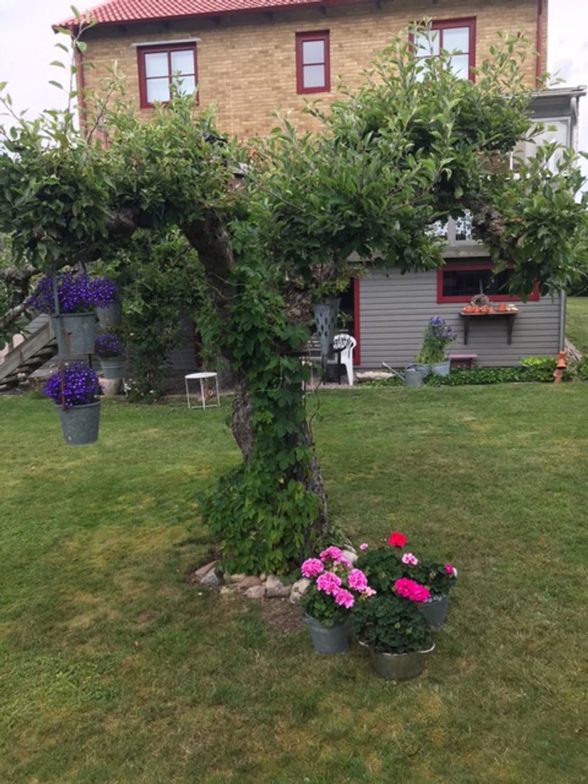 Villa, Grustagsgatan 6, Öster, Växjö