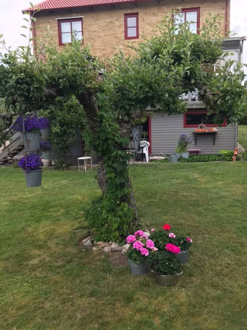 Villa, Grustagsgatan 6, Öster, Växjö