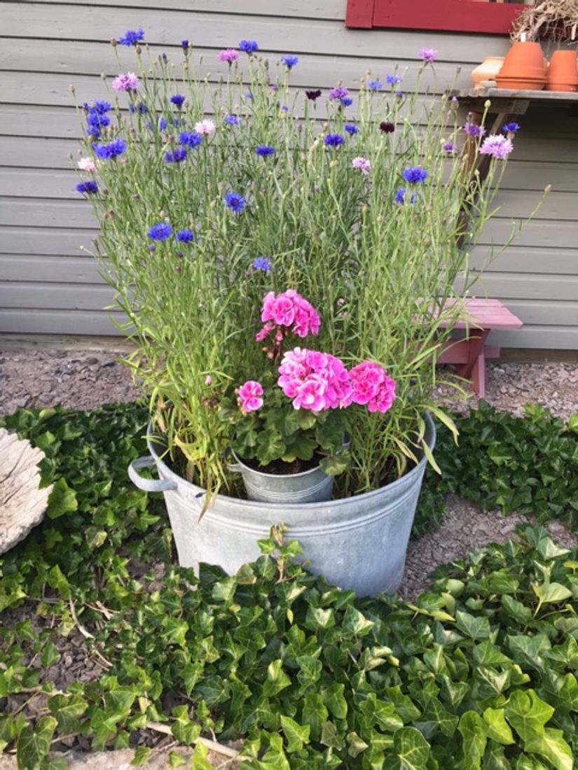 Villa, Grustagsgatan 6, Öster, Växjö