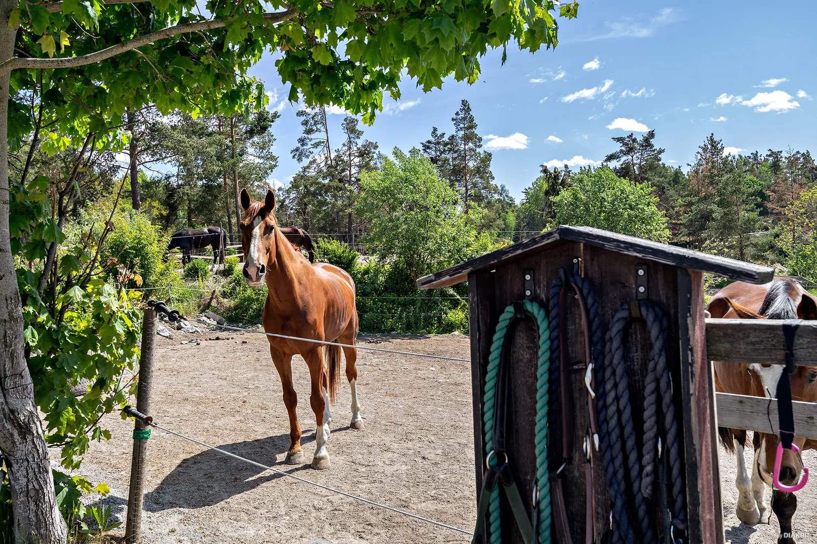 Tomt, Stora Kovik 1:344 (Jerkas väg), Skeviksstrand, Värmdö