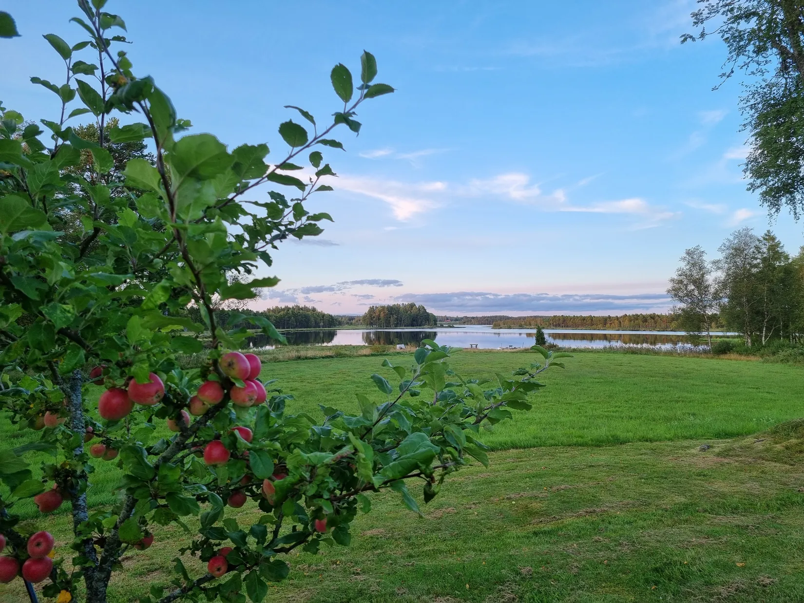 Villa, Älgafall 4, Älgafall, Habo