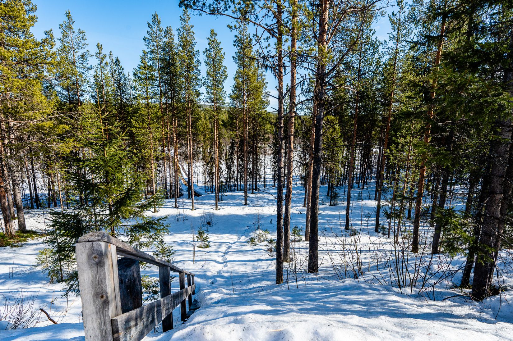 Villa, Skyttegatan 40, Koskullskulle, Gällivare